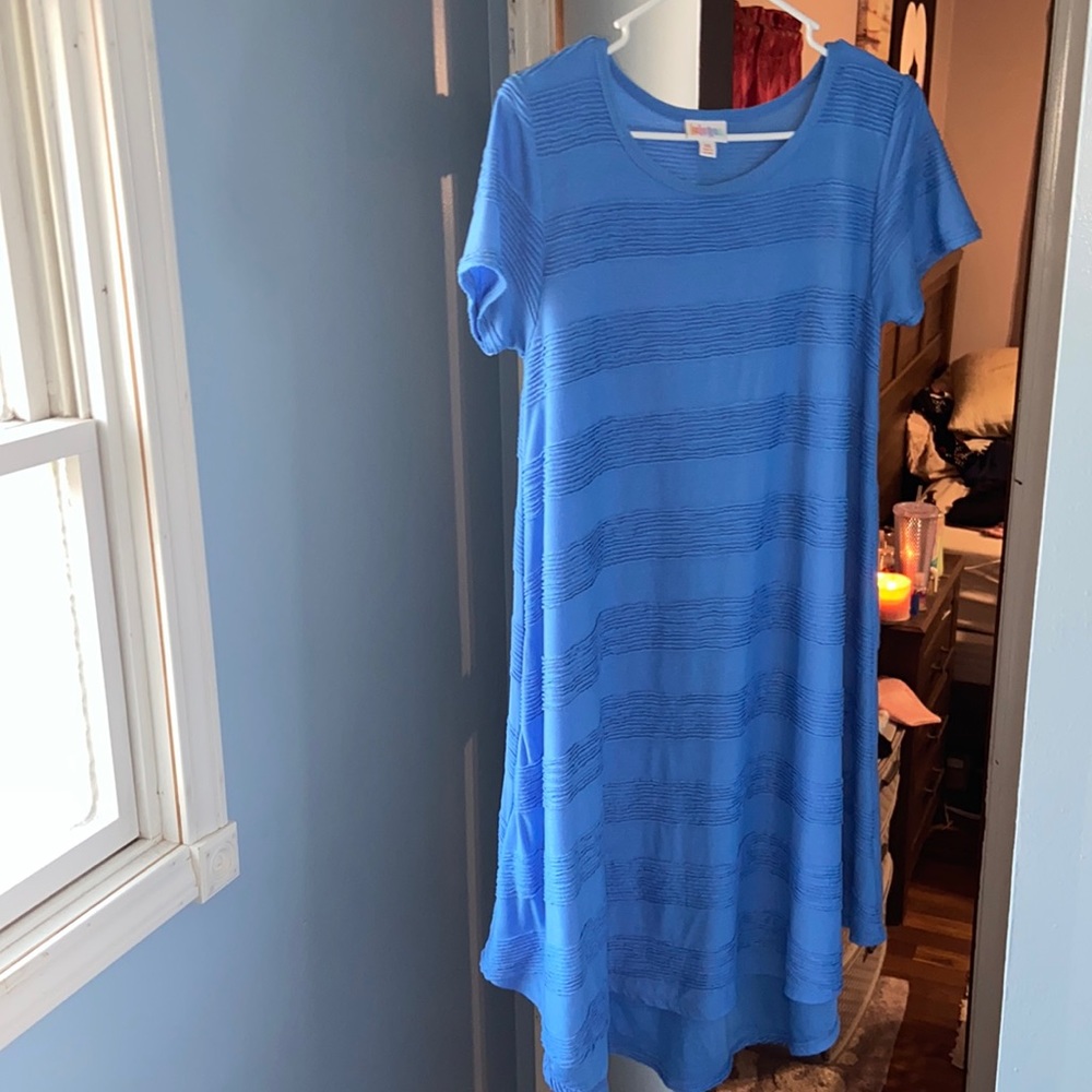 Blue LulaRoe Carly dress